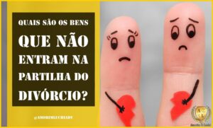 Leia mais sobre o artigo QUAIS SÃO OS BENS QUE NÃO ENTRAM NA PARTILHA DE DIVÓRCIO?